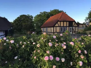 Millinge Gamle Skole - Image 3