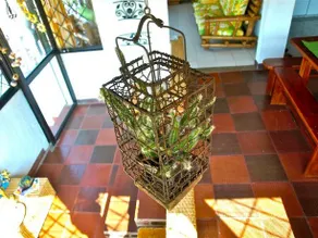 Silvania, Ferienhaus - Casa Campestre - Image 4