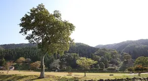 Japanese-style traditional villa(built 120 years) - Image 2
