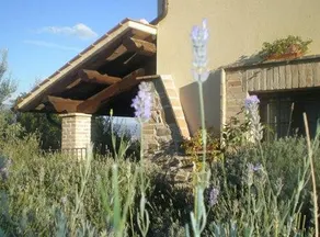 Agriturismo Il Cerreto - Image 2