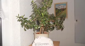 Ferienhaus in Hafennähe - Image 3