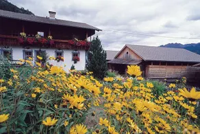 Haus Scherer - Image 1