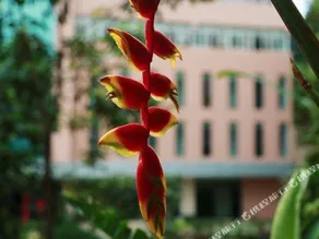 Jiangwai Hotel Yuanyang - Image 3