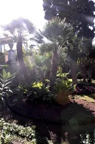 Villa Manasse - Image 2