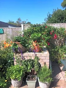 Hyacinth Bed & Breakfast - Image 2