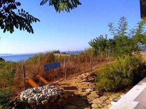 Il Giglio Selvatico - Image 4