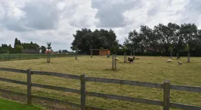 In den Jager - Image 4