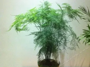 Lingyanqiushe Guesthouse - Image 3