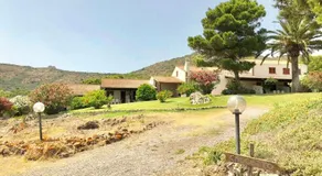 Ibisco Farm - Image 5