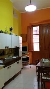 Antonella - Image 5