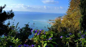 Holiday Home Martina Omis - Image 2
