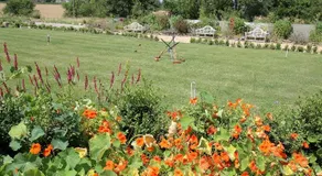 Pheasant Walk at Eaton Manor - Image 2
