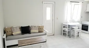 Damatria studio - Image 3
