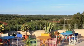 Trulli Fogliarella - Image 4