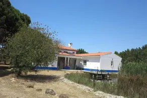 Stone Pines - Image 2