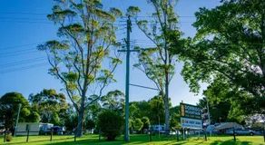 Dorrigo Mountain Holiday Park - Image 5