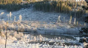 Pelle Åbergsgården - Image 5