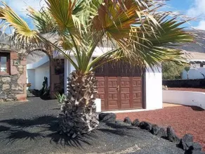 SHANGRILITA - Image 2