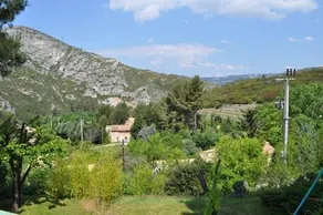 Lou Pin Dou Papet - Image 4