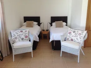 Olive Grove - Image 3