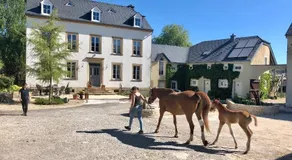 Cottage House Weyer - Mare&Filly Room - Image 2