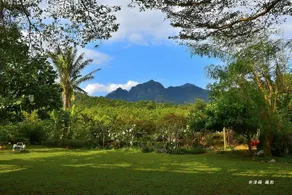 Millennium Beach House - Image 5