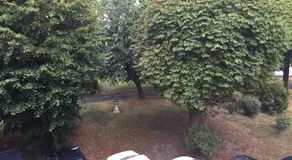 Petit Nid Douillet chez l'Habitant - Image 3