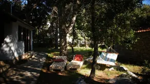 Holiday Home Pine Villa - Image 5