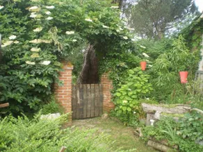 Les Ombelles Albigeoises - Image 2