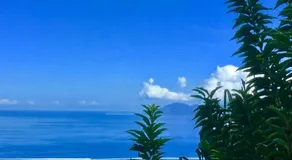 Fare Sunny - Image 3