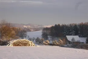 Beim Künstler - Image 2