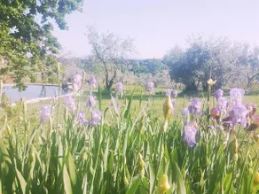 Villa Poderino - Image 2