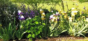 Chambre D'Hotes Au Jardin De La Bachellerie - Image 2
