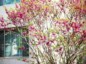 Donghai Hotel (Yantai Military Catering Station) - Image 3