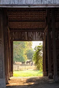 Fantesstique - Image 3