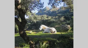 Finca al-manzil - Holiday Accommodation - Image 2