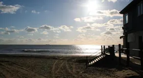 Sea Dragon - Image 5