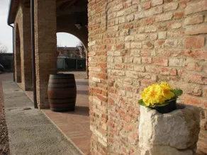 Agriturismo Al Casale - Image 2
