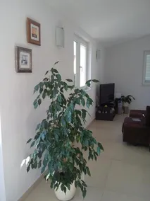 Adriatic Rose Apartment - Image 3