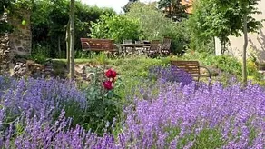 Bed & Breakfast Orli Hnizdo - Image 5