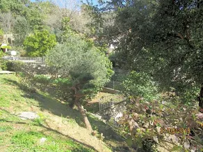Chiapatella - Image 3