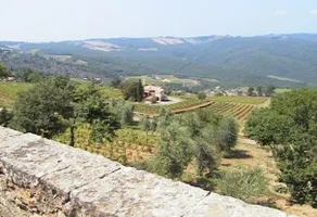 Podere Soccorso - Image 5
