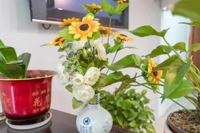 Xiamen Qingmeizi Hostel - Image 3