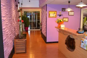Castor Hotel - Image 2