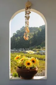 Pansion Maria - Image 4