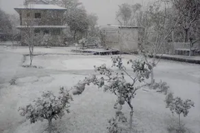 Nagri Resort - Image 3
