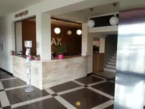 Max - Image 2
