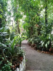 Green Woods Bethlehem - Image 3