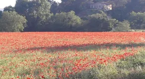 My Home in lourmarin - Image 3