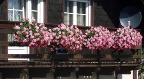 Haus Goehringer - Image 2